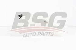BSG 70550007 Radyatör Yedek Su Deposu