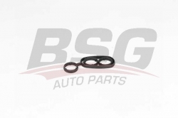 BSG 90116003 Yağ Soğutucu Contası