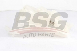 BSG 70550005 Radyatör Yedek Su Deposu
