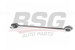 BSG 16310001 Viraj Askı Rotu Ön