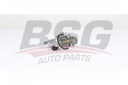 BSG 15125005 Termostat