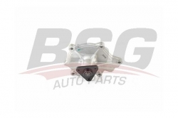 BSG 40500022 Devirdaim