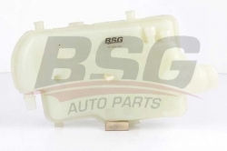 BSG 70550006 Radyatör Yedek Su Deposu