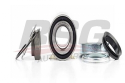 BSG 70605006 Porya Rulmanı Arka