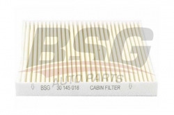 BSG 30145018 Polen Filtresi
