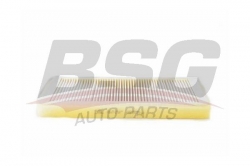 BSG 15145016 Polen Filtresi