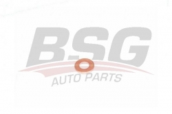 BSG 30995049 Enjektör Alt Pulu