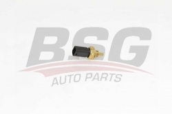 BSG 75840009 Hararet Müşürü