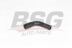 BSG 65700443 Motor Havalandırma Hortumu