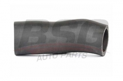 BSG 40720010 Turbo Hortumu