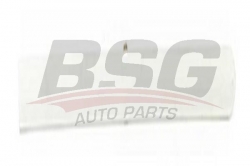 BSG 65924023 Kapı Bandı Arka Sol