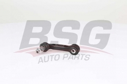 BSG 15310187 Viraj Askı Rotu Arka