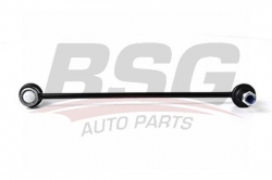 BSG 30310032 Viraj Askı Rotu Ön