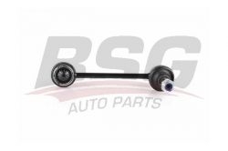 BSG 70310058 Viraj Askı Rotu Arka