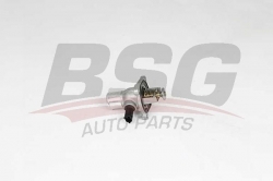 BSG 65125012 Termostat