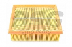 BSG 65135015 Hava Filtresi