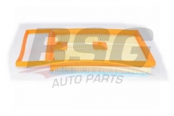 BSG 90135023 Hava Filtresi