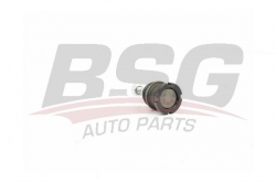 BSG 60310245 Rotil Alt