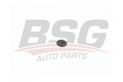 BSG 60700191 Hava Filtre Kutu Lastiği