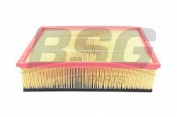 BSG 60135001 Hava Filtresi