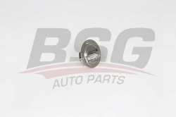 BSG 40126005 Termostat