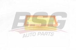 BSG 75135007 Hava Filtresi