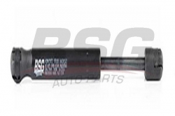 BSG 60980019 Bagaj Amortisörü