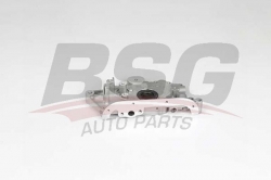 BSG 40101004 Yağ Pompası