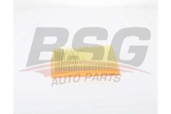 BSG 25135008 Hava Filtresi