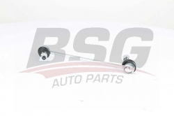 BSG 40310149 Viraj Askı Rotu Ön