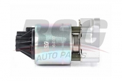 BSG 65836003 Egr Valfi