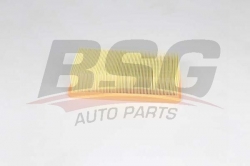 BSG 25135007 Hava Filtresi