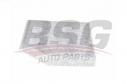 BSG 90145022 Polen Filtresi