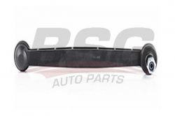 BSG 65310042 Viraj Askı Rotu Ön