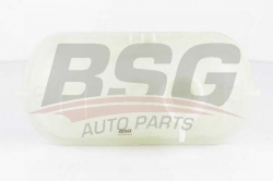 BSG 70550004 Radyatör Yedek Su Deposu