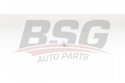 BSG 15870005 Isıtma Bujisi
