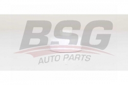 BSG 15130008 Yakıt Filtresi