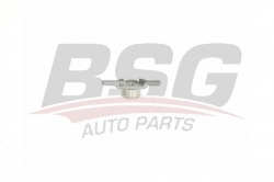 BSG 30615004 Eksantrik Gergi Rulmanı
