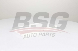 BSG 60145017 Polen Filtresi