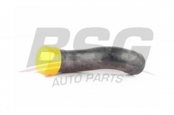 BSG 60720098 Turbo Hortumu