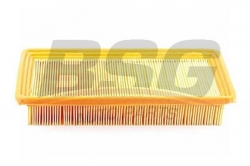BSG 40135010 Hava Filtresi