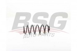 BSG 70305003 Helezon Yayı Arka