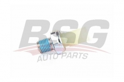 BSG 30840001 Yağ Basınç Müşürü