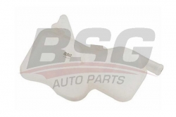 BSG 65550010 Radyatör Yedek Su Deposu