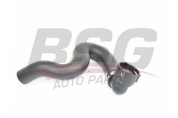BSG 65720200 Radyatör Hortumu Alt