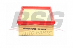 BSG 30135004 Hava Filtresi