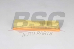 BSG 75135018 Hava Filtresi
