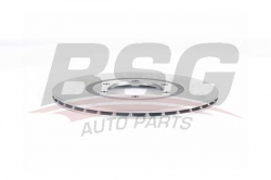 BSG 40210038 Fren Diski Ön