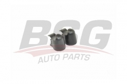BSG 90995006 Silecek Kol Kapağı Arka