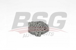 BSG 60105003 Eksantrik Zinciri